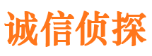 宝山区市私家侦探